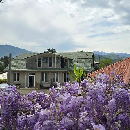 Olga'S Home Batumi Exterior photo