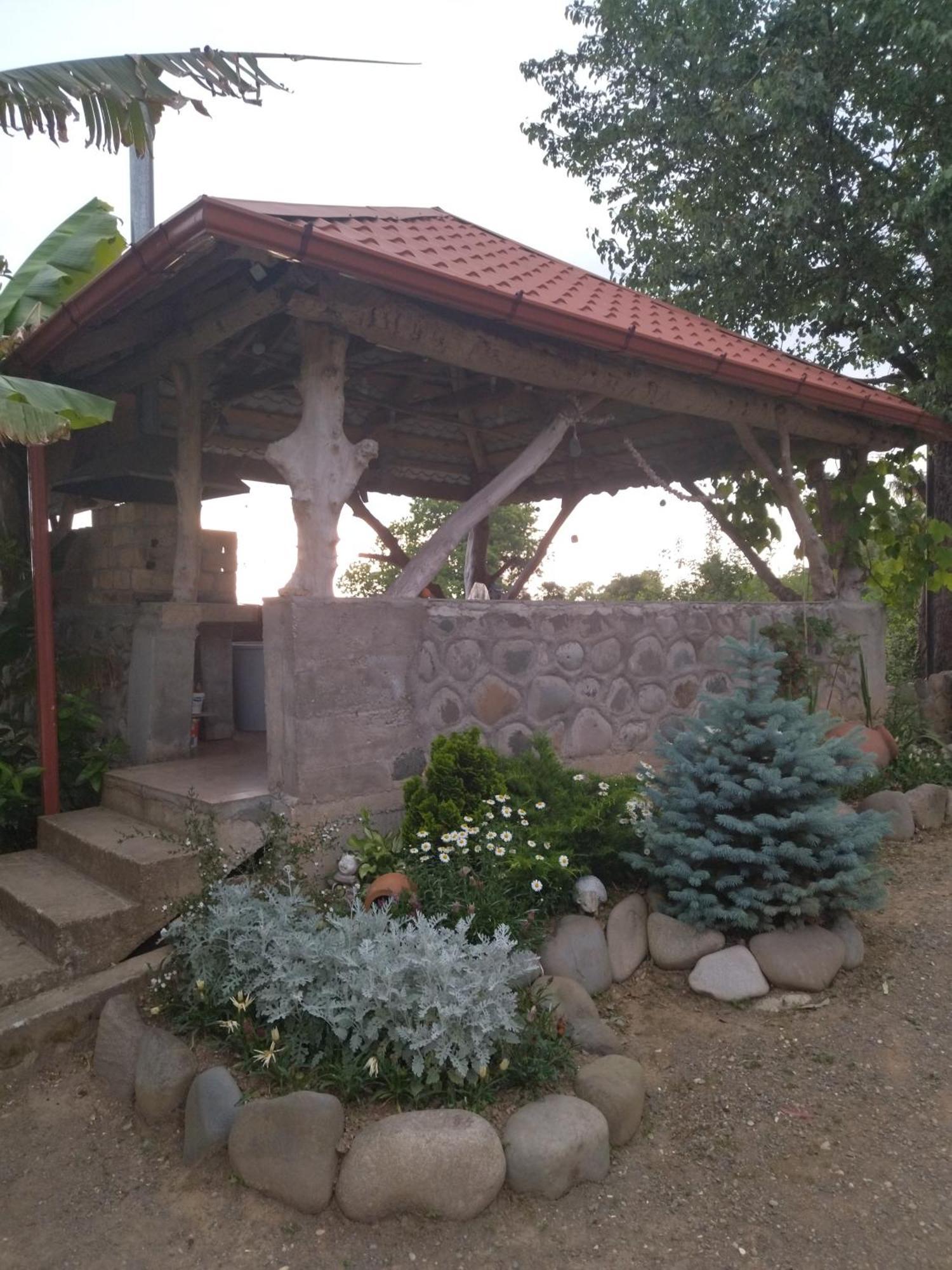 Olga'S Home Batumi Exterior photo